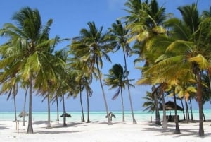Zanzibar: las Jozani + wizyta w jaskini Kuza i wycieczka po plaży Paje