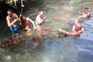 Zanzibar: Jozani Forest, Local Zoo and Swimming with Turtles