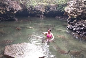 Zanzibar: Jozani Forest, lokale dierentuin en zwemmen met schildpadden