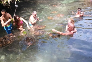 Zanzibar: Jozani Forest, Local Zoo and Swimming with Turtles