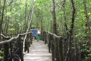 Zanzibar: Jozani Forest, Local Zoo and Swimming with Turtles