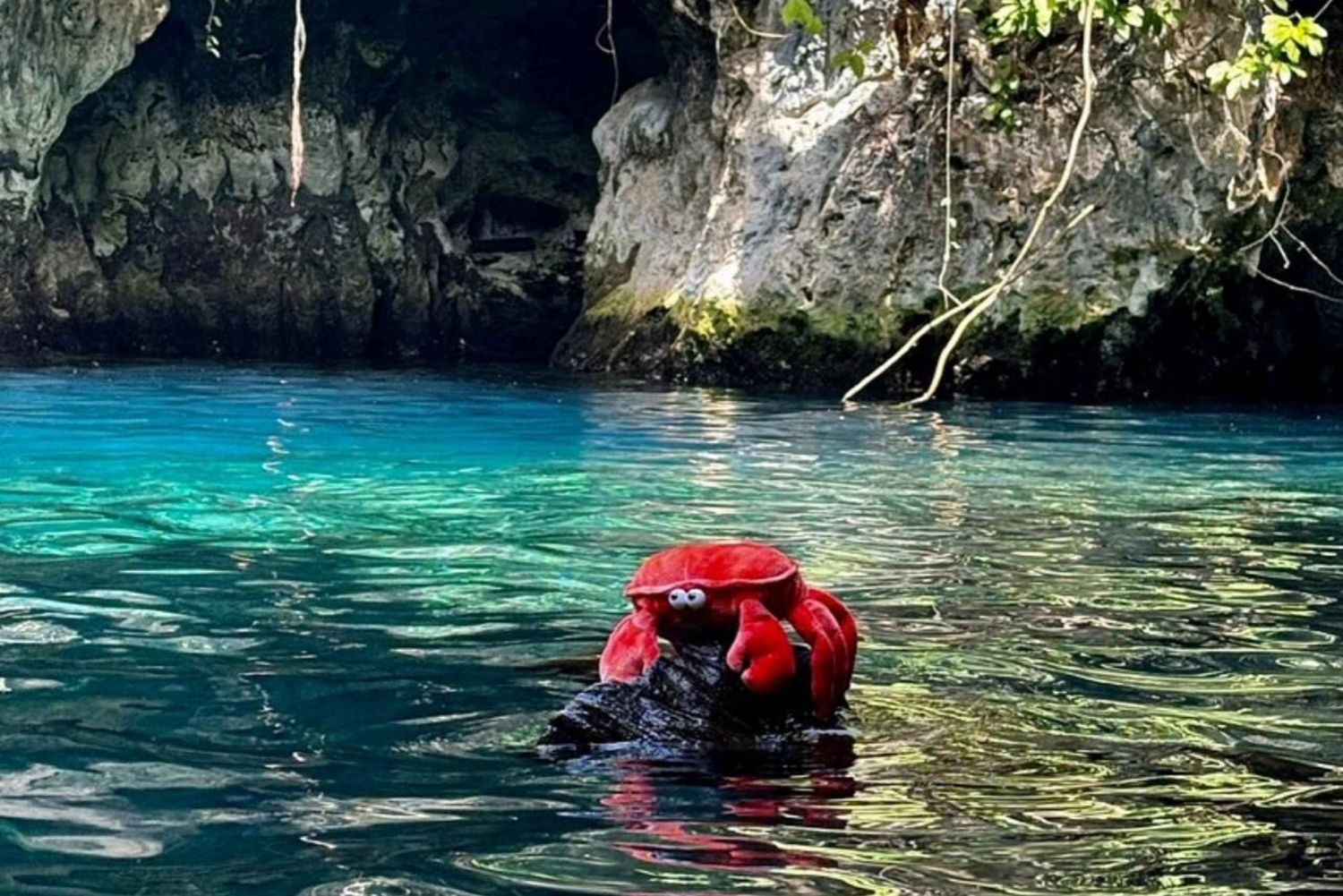 Zanzibar: floresta de Jozani, caverna de Maalum e passeio pela praia de Mtende