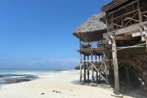 Sansibar: Jozani-Wald, Maalum-Höhle und Mtende Beach Tour