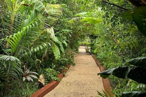 Sansibar: Jozani-Wald, Maalum-Höhle und Mtende Beach Tour
