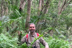 Sansibar: Jozani-Wald, Maalum-Höhle und Mtende Beach Tour
