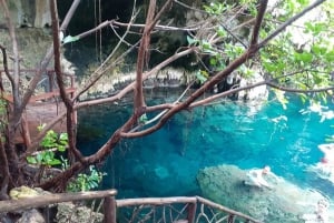 Sansibar: Jozani-Wald, Maalum-Höhle und Mtende Beach Tour