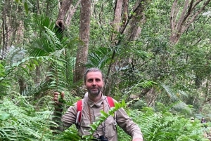 Zanzibar: floresta de Jozani, caverna de Maalum e passeio pela praia de Mtende
