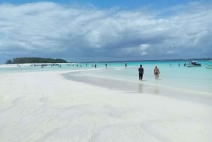 ZANZIBAR: Jozani Forest & Mnemba Dolphin Snorkeling met BBQ