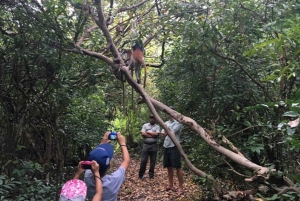 ZANZIBAR: Jozani Forest & Mnemba Dolphin Snorkeling met BBQ