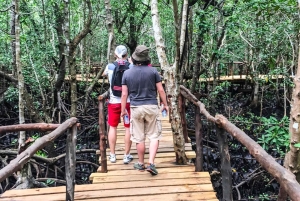 ZANZIBAR: Jozani Forest & Mnemba Dolphin Snorkeling met BBQ