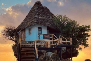 ZANZIBAR: Jozani Forest Monkey Tour and The Rock Restaurant