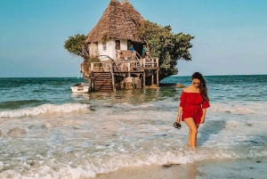 ZANZIBAR: Jozani Forest Monkey Tour and The Rock Restaurant