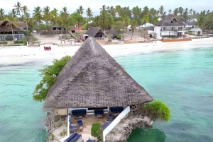 ZANZIBAR: Jozani Forest Monkey Tour and The Rock Restaurant