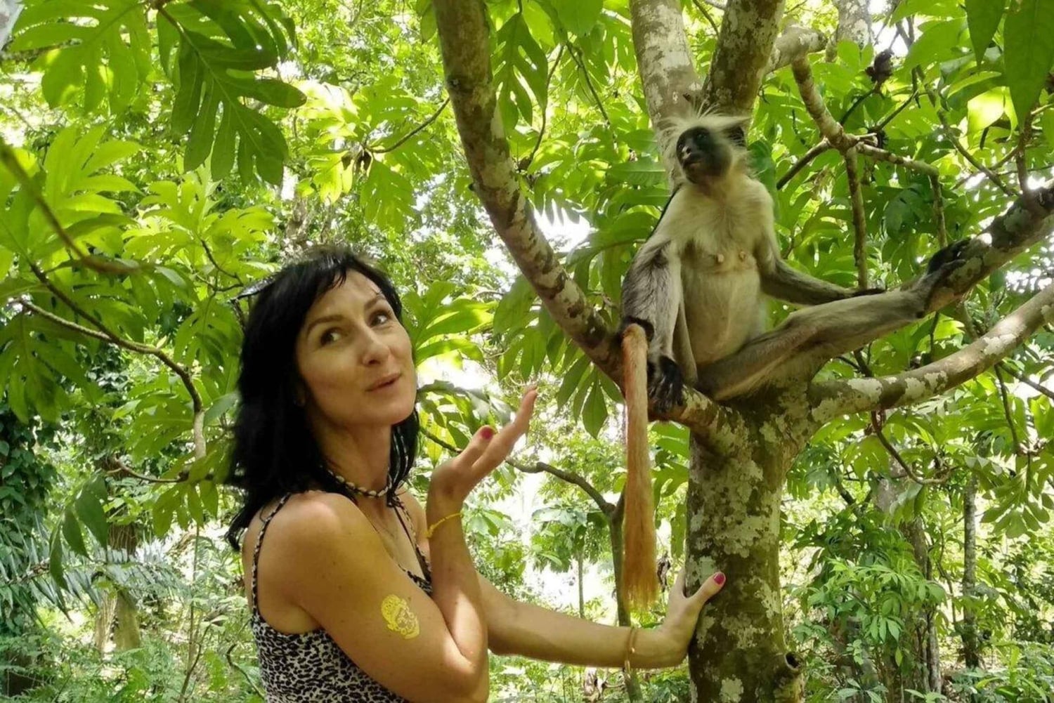 Zanzibar: Jozani-skogen, apor och middag på The Rock