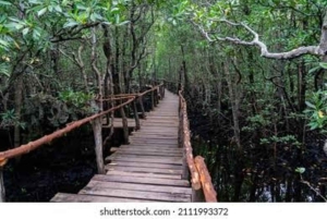 Zanzíbar: bosque de Jozani y banco de arena de Nakupenda con barbacoa