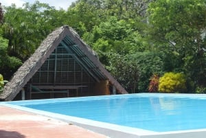 Zazibar: Jozani Forest nasjonalpark og møte med delfiner