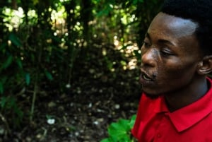 Zanzibar: Excursão de um dia à floresta de Jozani, à quinta de especiarias, à natureza e aos sabores