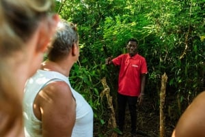 Zanzibar: Excursão de um dia à floresta de Jozani, à quinta de especiarias, à natureza e aos sabores