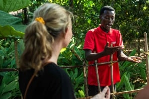 Zanzibar: Excursão de um dia à floresta de Jozani, à quinta de especiarias, à natureza e aos sabores