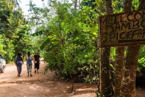 Zanzibar: Excursão de um dia à floresta de Jozani, à quinta de especiarias, à natureza e aos sabores