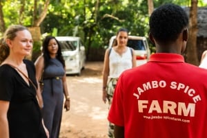 Zanzibar: Excursão de um dia à floresta de Jozani, à quinta de especiarias, à natureza e aos sabores