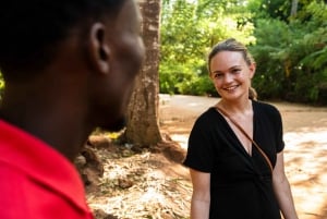 Zanzibar: Excursão de um dia à floresta de Jozani, à quinta de especiarias, à natureza e aos sabores
