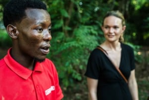 Zanzibar: Excursão de um dia à floresta de Jozani, à quinta de especiarias, à natureza e aos sabores