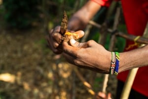 Zanzibar: Excursão de um dia à floresta de Jozani, à quinta de especiarias, à natureza e aos sabores