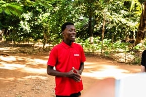 Zanzibar: Excursão de um dia à floresta de Jozani, à quinta de especiarias, à natureza e aos sabores