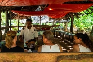 Zanzibar: Excursão de um dia à floresta de Jozani, à quinta de especiarias, à natureza e aos sabores