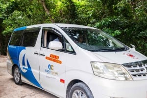 Zanzibar: Excursão de um dia à floresta de Jozani, à quinta de especiarias, à natureza e aos sabores