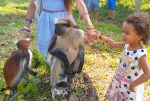 Zanzibar: Guidet tur i Jozani Forest National Park