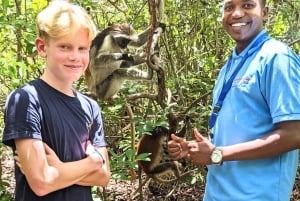 Zanzibar: passeio pela natureza e vida selvagem na floresta de Jozani