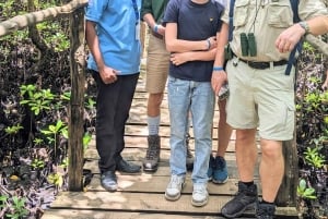 Zanzibar: passeio pela natureza e vida selvagem na floresta de Jozani