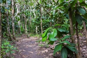 Zanzibar: Jozani Forest Park Halve Dag Tour