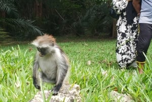 Zanzibar: Jozani-skogen, Fängelseön och kryddodling