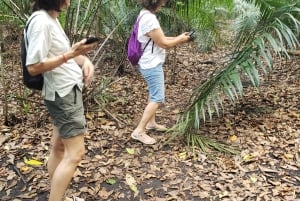 Zanzibar: Jozani-skogen, Fängelseön och kryddodling