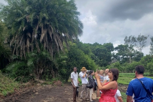 Zanzibar: Jozani-skogen, Fängelseön och kryddodling