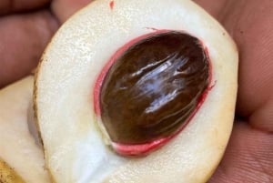 Zanzibar: Jozani-skogen, Fängelseön och kryddodling