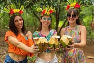 Zanzibar: tur til Jozani-skogen, fengselsøya og krydderfarm