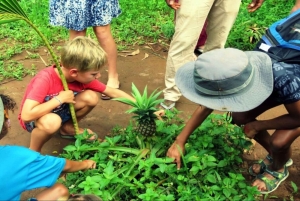 Zanzibar: tur til Jozani-skogen, fengselsøya og krydderfarm