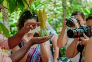 Zanzibar: tur til Jozani-skogen, fengselsøya og krydderfarm