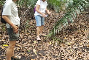 Zanzibar: tur til Jozani-skogen, fengselsøya og krydderfarm