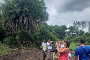 Zanzibar: tur til Jozani-skogen, fengselsøya og krydderfarm