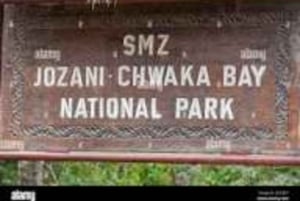 Zanzibar: passeio pelos mangais e colobos vermelhos da floresta de Jozani