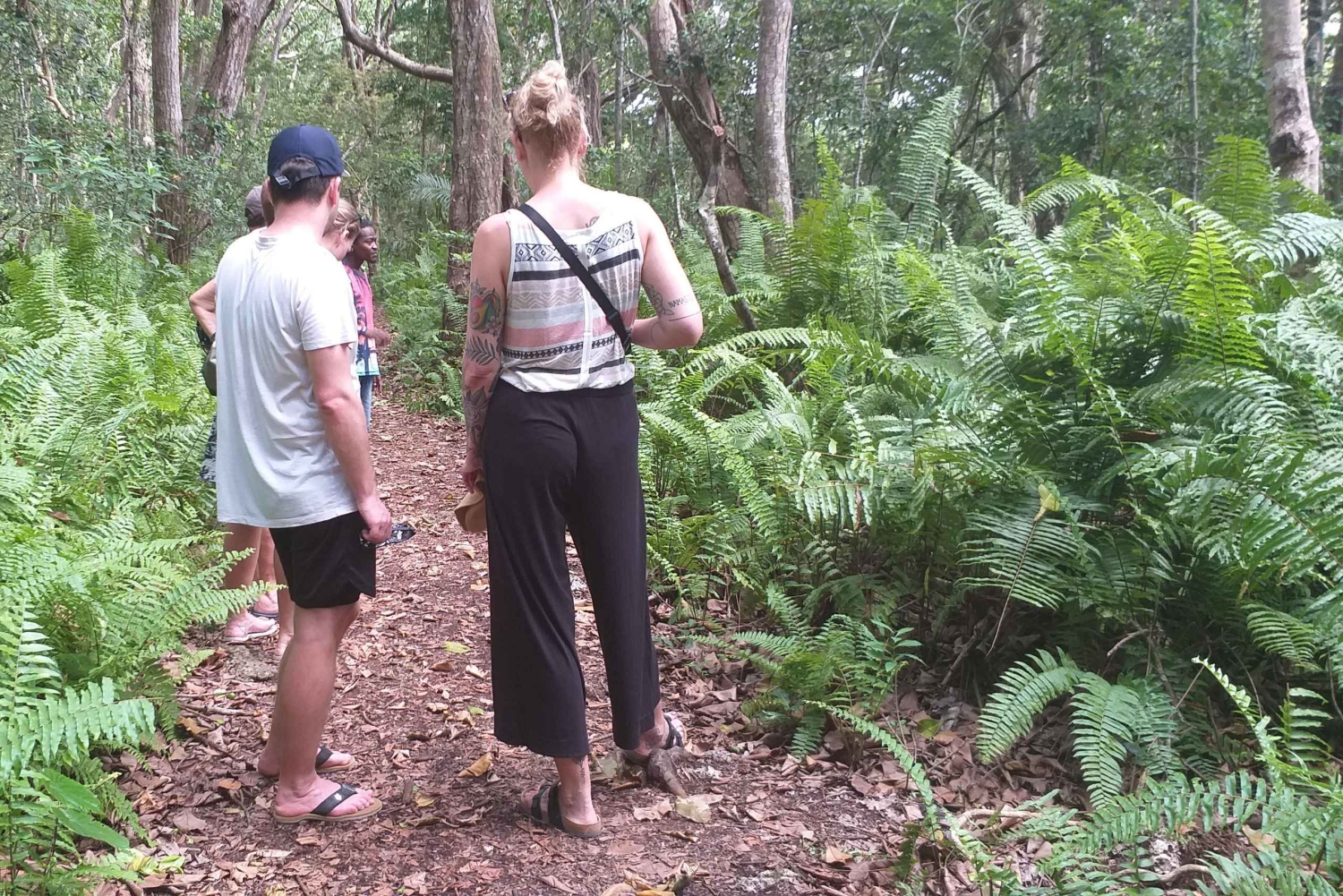 Zanzibar: Privat tur till Jozani Forest och röda colobusapor