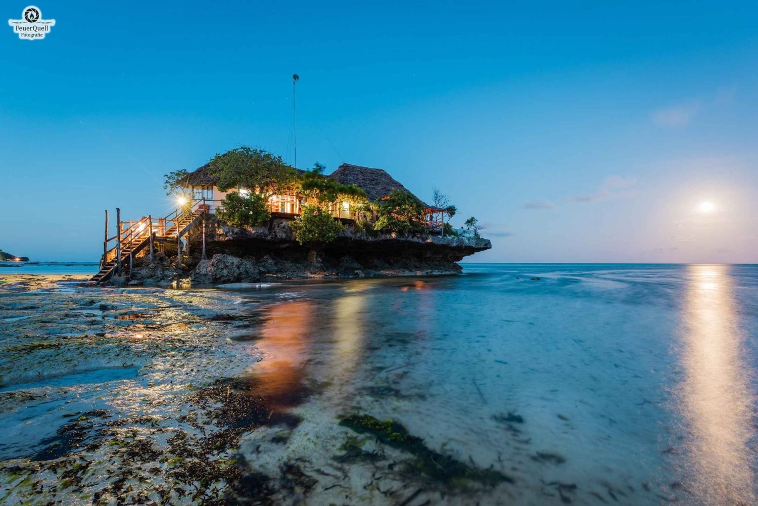 Zanzibar: Jozani Forest,Red colobus,the Rock Restaurant tour