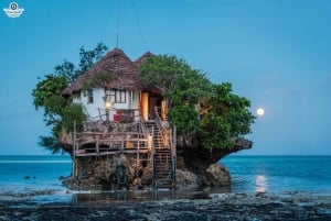 Zanzibar: Jozani Forest,Red colobus,the Rock Restaurant tour