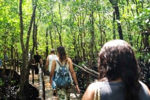 Zanzibar: Jozani Forest,Red colobus,the Rock Restaurant tour