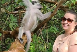 ZANZIBAR: czerwone małpy z lasu Jozani i pływanie w jaskini Maalum